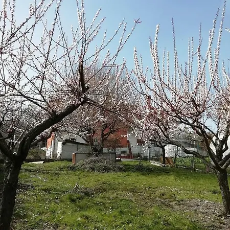 Holiday home Cunetta