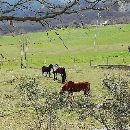 Cunetta * Comignano